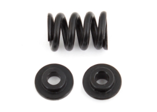 Picture of Team Associated B6.1/B6.1D Slipper Spring Set