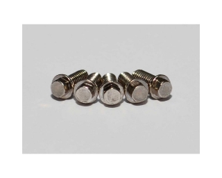 Picture of RC4WD Miniature Scale Hex Bolts, M2.5 x 6mm, Silver (20)
