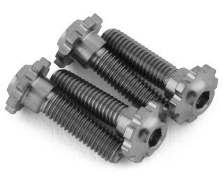 Picture of J&T Bearing Co. 3x12mm Premium Titanium Servo Lock Screw (4)